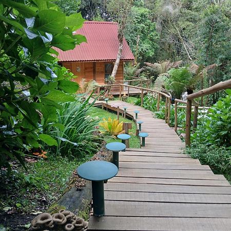 Campos do JordãoChale Samambaia别墅 外观 照片