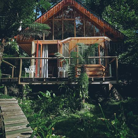 Campos do JordãoChale Samambaia别墅 外观 照片