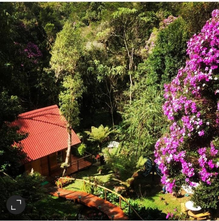 Campos do JordãoChale Samambaia别墅 外观 照片